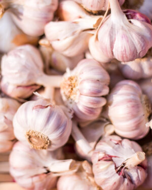 Garlic