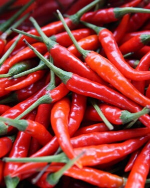 Chilli